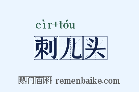 刺儿头是什么意思的图片